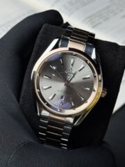Omega Seamaster Titanium Silver & Rose Gold (Two-Tone)