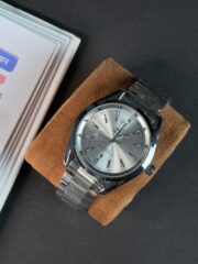 Omega Seamaster Silver Stainless Steel
